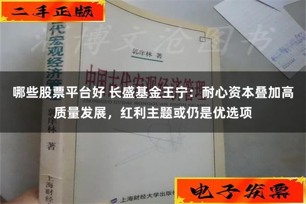 哪些股票平台好 长盛基金王宁：耐心资本叠加高质量发展，红利主题或仍是优选项