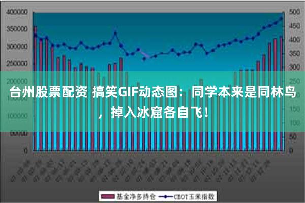 台州股票配资 搞笑GIF动态图：同学本来是同林鸟，掉入冰窟各自飞！