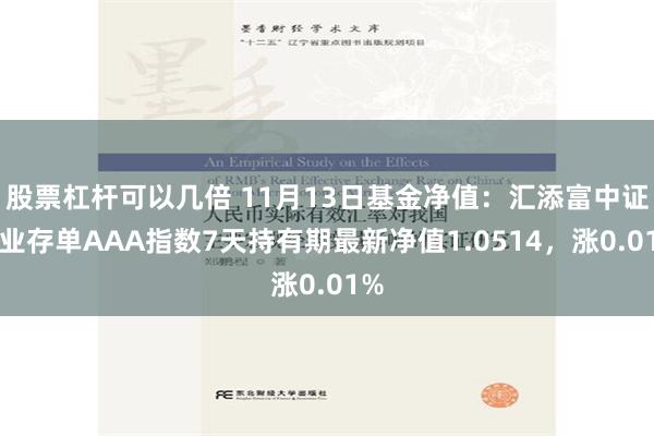 股票杠杆可以几倍 11月13日基金净值：汇添富中证同业存单AAA指数7天持有期最新净值1.0514，涨0.01%