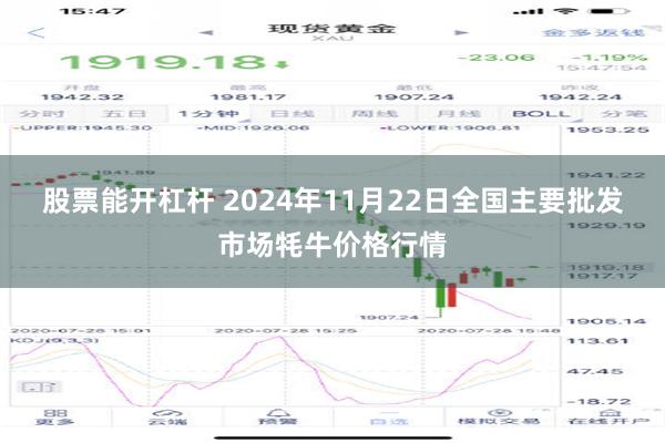 股票能开杠杆 2024年11月22日全国主要批发市场牦牛价格行情