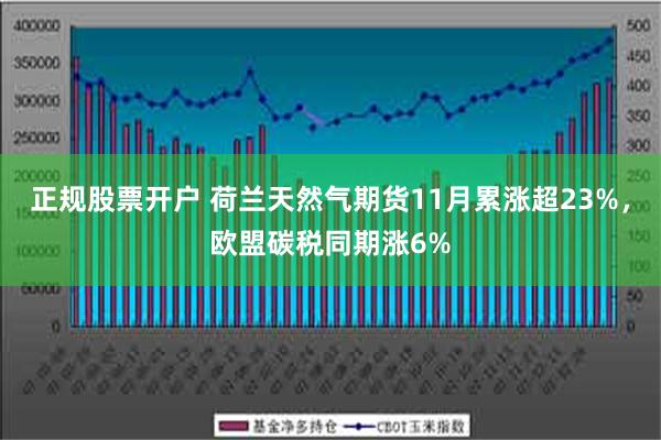 正规股票开户 荷兰天然气期货11月累涨超23%，欧盟碳税同期涨6%