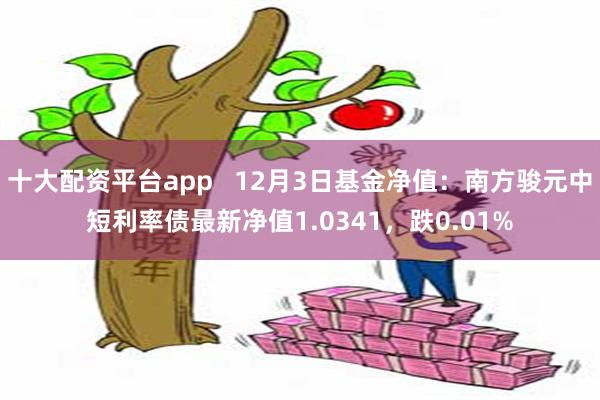 十大配资平台app   12月3日基金净值：南方骏元中短利率债最新净值1.0341，跌0.01%